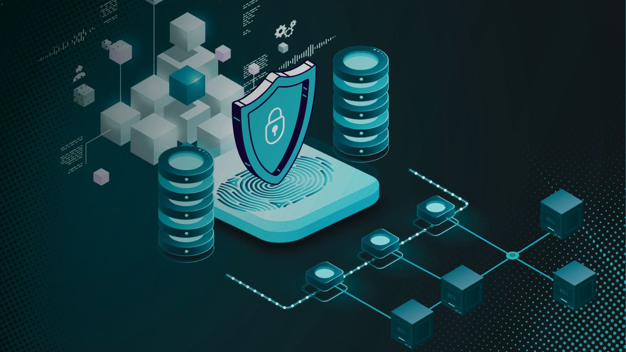 The Power Trio: Black Box, Grey Box, and White Box Penetration Testing Unveiled